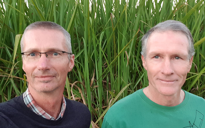 Podcast: Cane and beans – Its a rotation strategy, not a cocktail