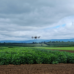 Soybean-rust-control https://www.podsquad.co.za/wp-content/uploads/2023/03/Soybean-rust-control.png
